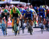 Wout van Aert ; "J'ai pris la roue d'Alaphilippe"