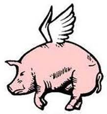 Jean Paul Mellouet (Tro Bro Léon) : "Le cochon ailé? J'ai pensé aux Pink Floyd et Pigasus" 11 pigasus