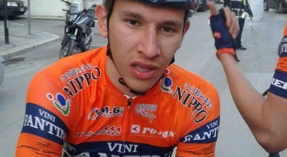 nippo