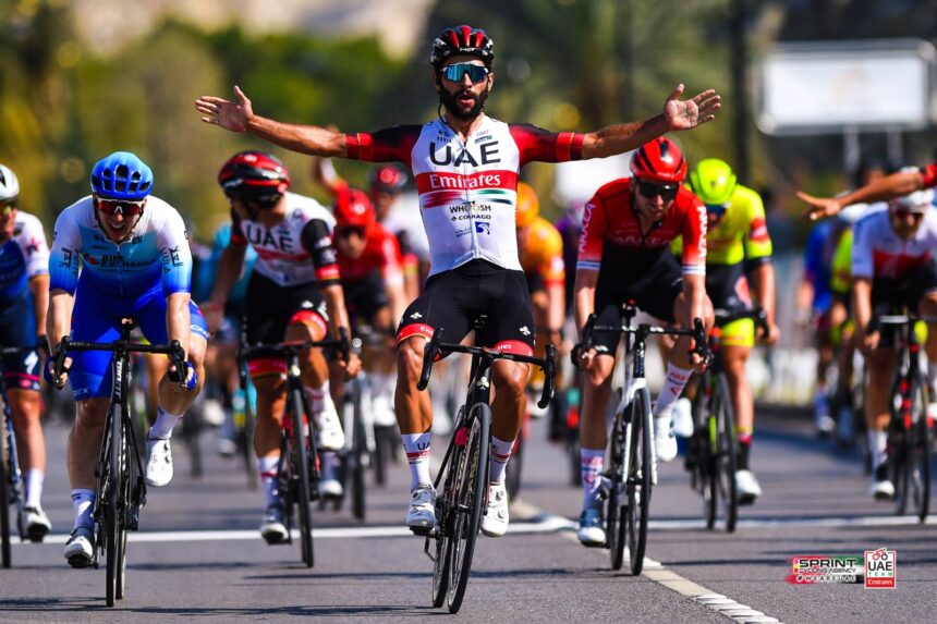 spinrt