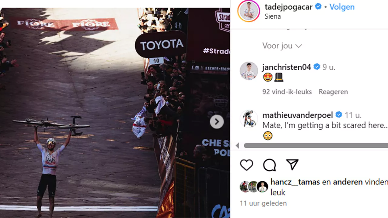 Mathieu van der Poel à son ami Tadej Pogacar: "Mec, tu me fais un peu peur" 7 tadejds