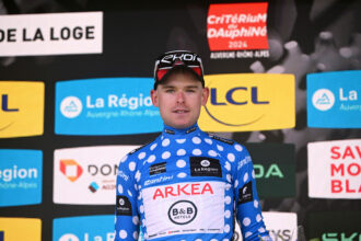 dauphine